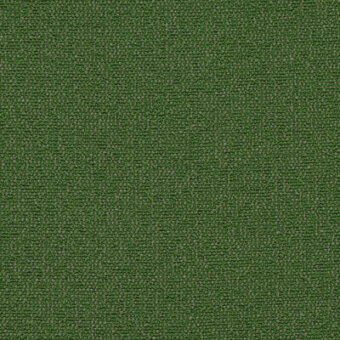 Moss - cod 40_12